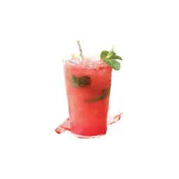 Watermelon Mojito